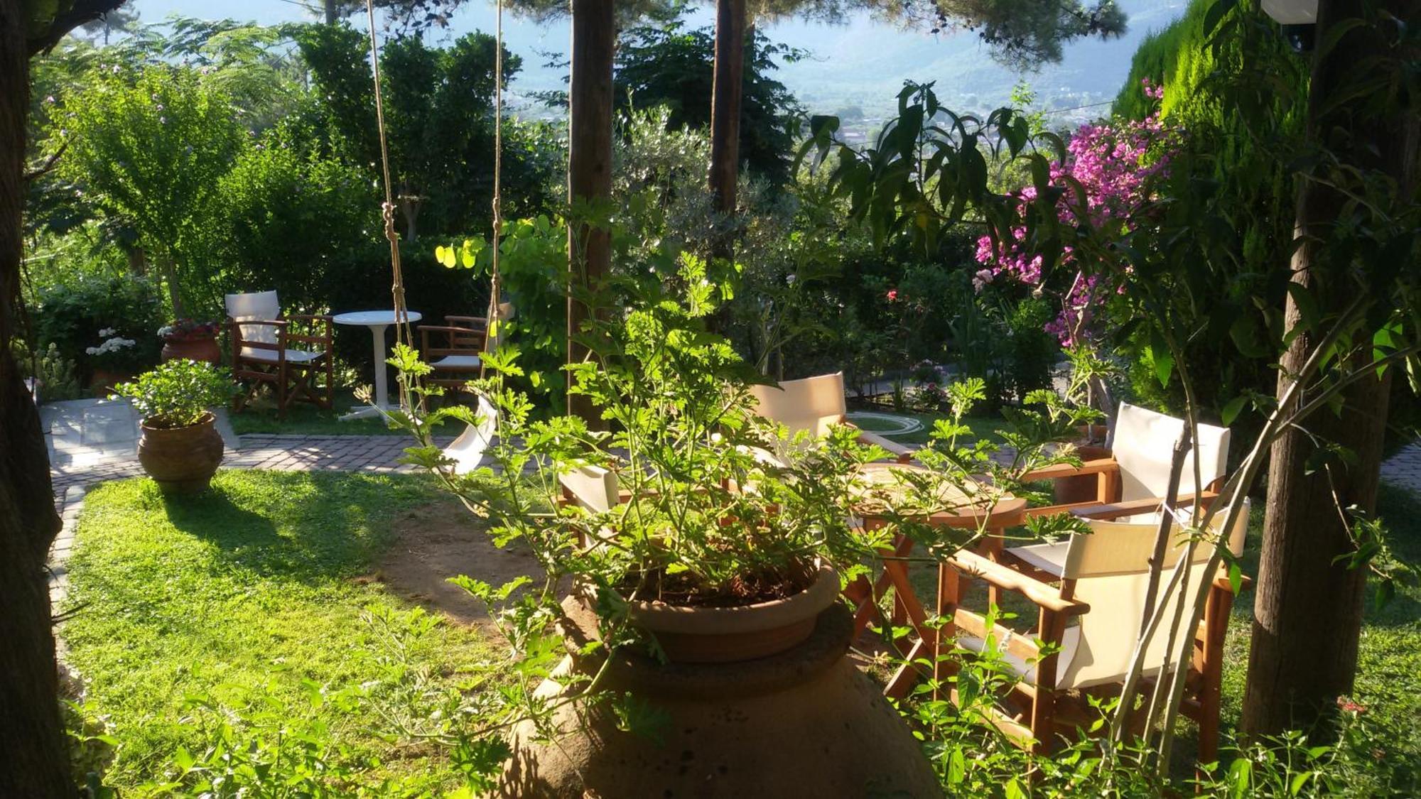Villa Dimitra สกาลา โปเตมิอัส ภายนอก รูปภาพ