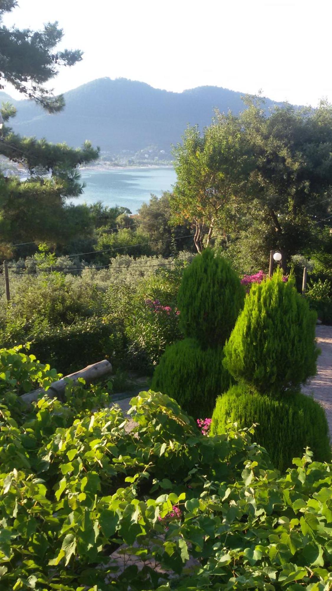 Villa Dimitra สกาลา โปเตมิอัส ภายนอก รูปภาพ