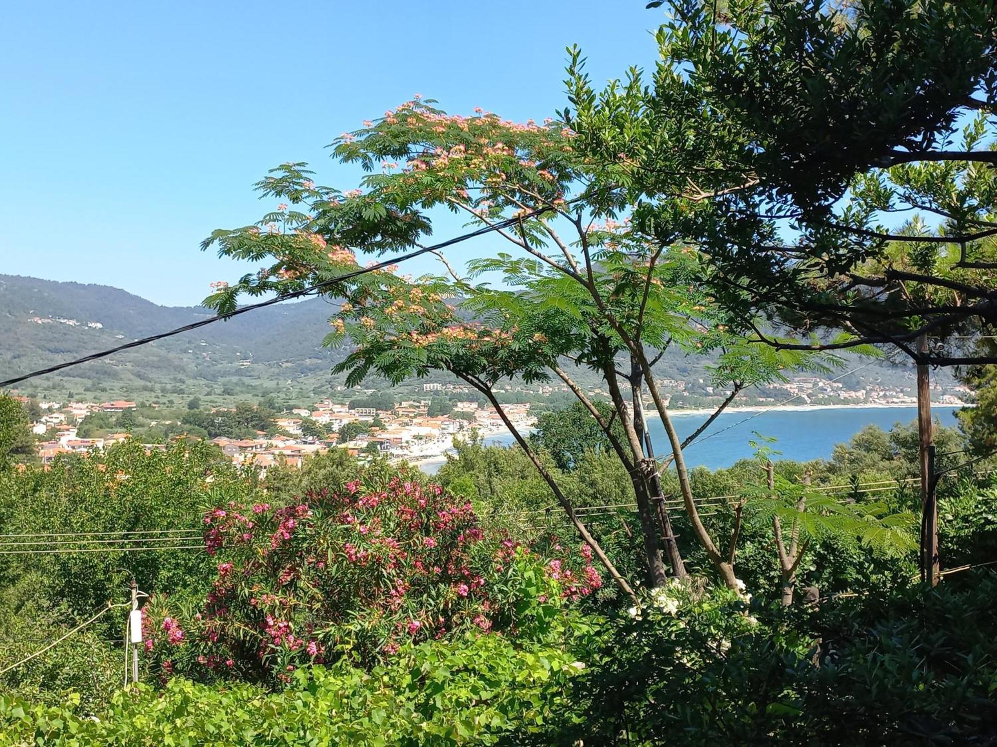 Villa Dimitra สกาลา โปเตมิอัส ภายนอก รูปภาพ