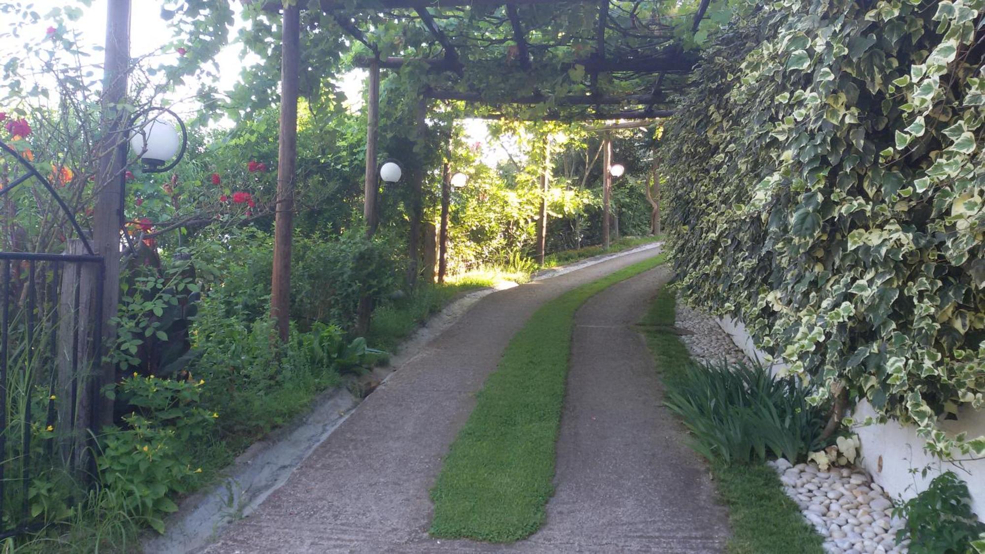 Villa Dimitra สกาลา โปเตมิอัส ภายนอก รูปภาพ