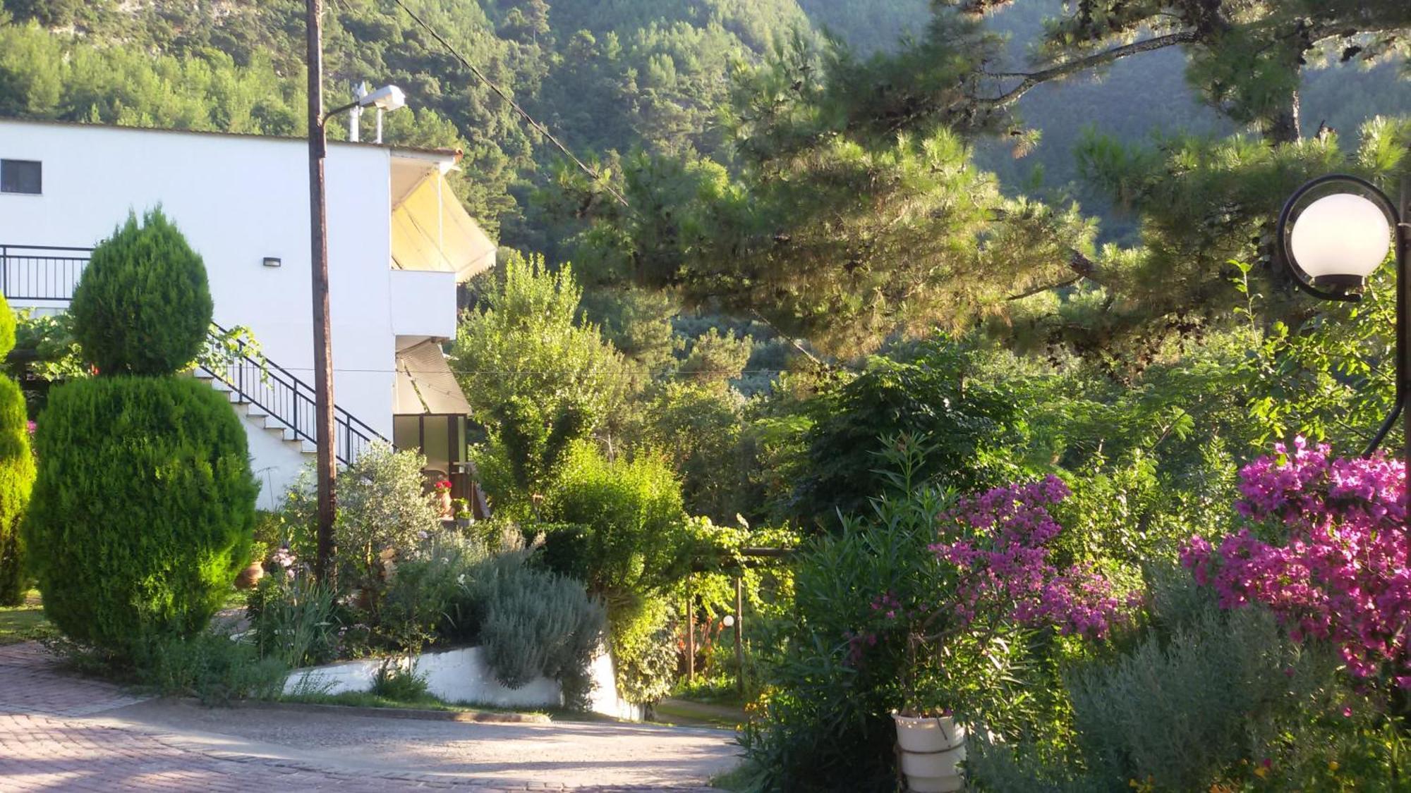 Villa Dimitra สกาลา โปเตมิอัส ภายนอก รูปภาพ